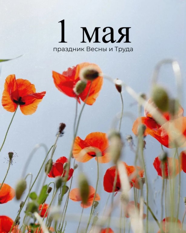 Фото