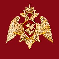 Канал Росгвардия. Донецкая Народная Республика в мессенджере MAX