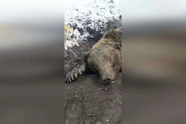 Фото