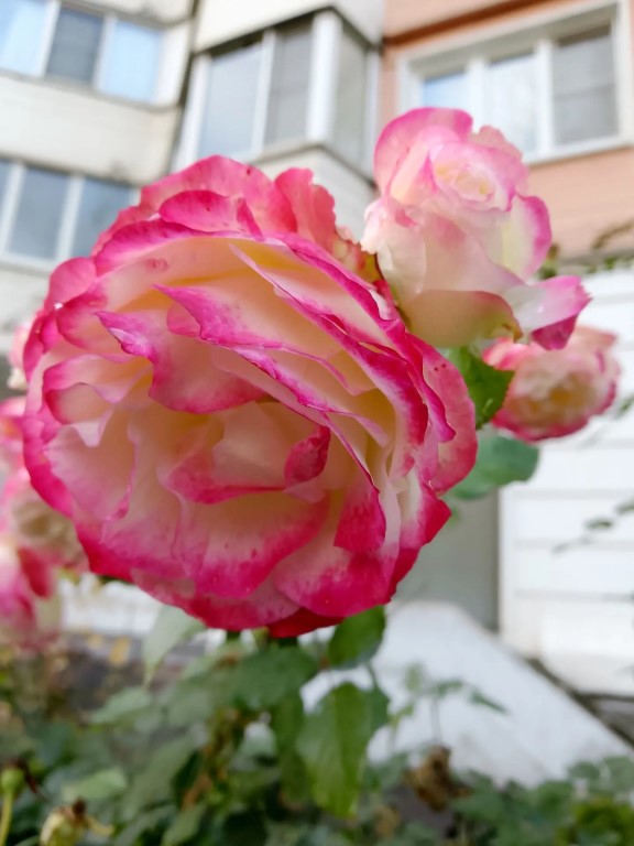 Фото