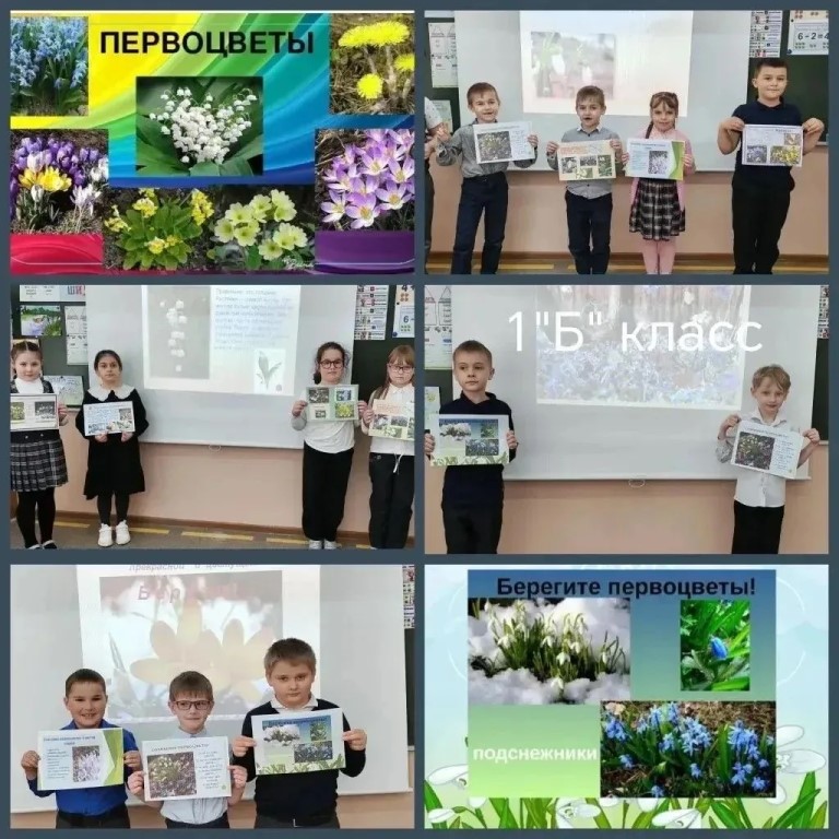 Фото
