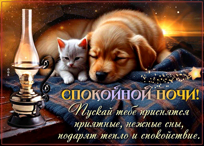 Спасибо за реакции! ❤️