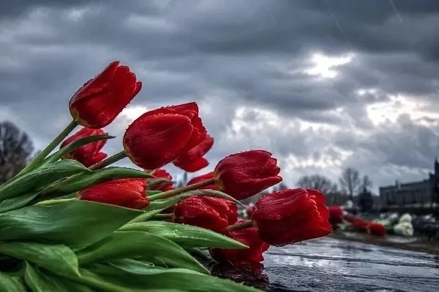 Фото