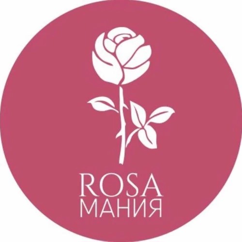 RosamaniaMax_bottobolsk — канал в мессенджере MAX