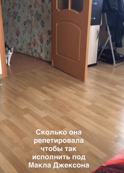 Добрый Мурзик 😻