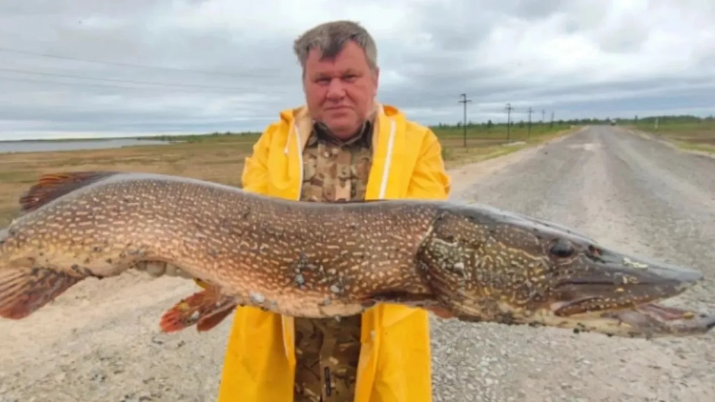 Фото