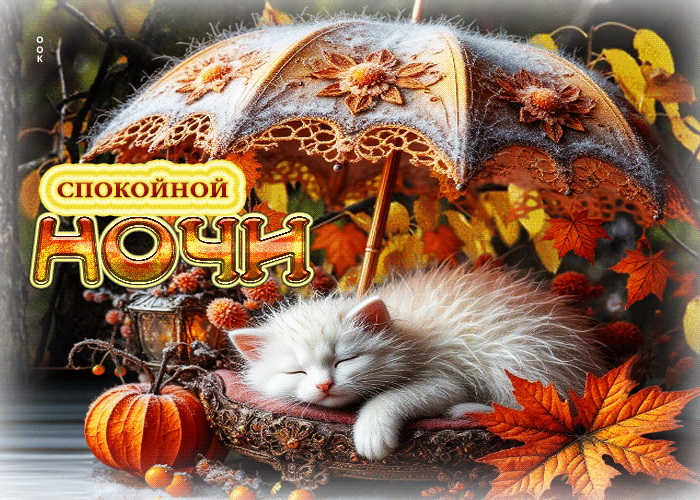 Спасибо за реакции! ❤️