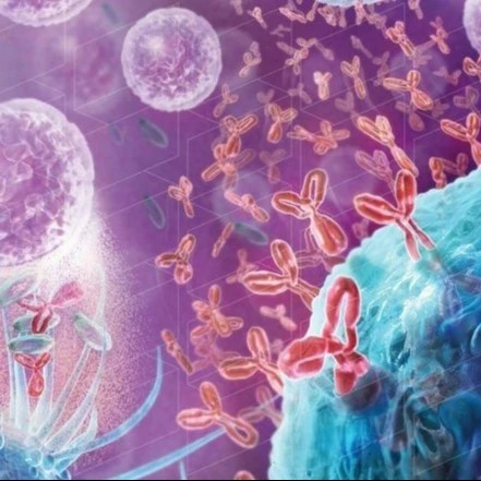 Центр Аллергологии и Иммунологии