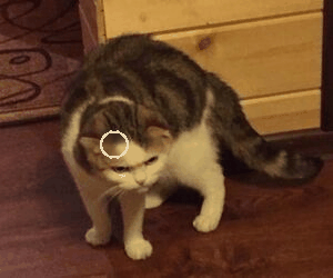 Это я примерно на каждом уроке алгебры 👀