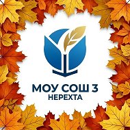 МОУ СОШ №3 г. Нерехта Костромская область
