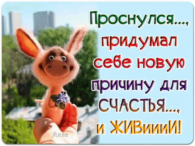 Наш канал ЛУЧИК РАДОСТИ ✨