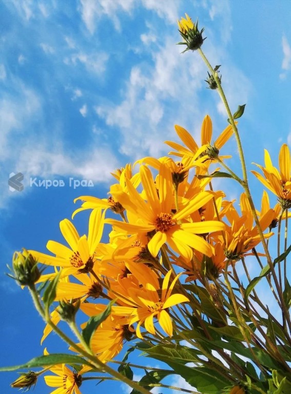 Фото