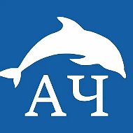 Канал Анапское Черноморье в мессенджере MAX