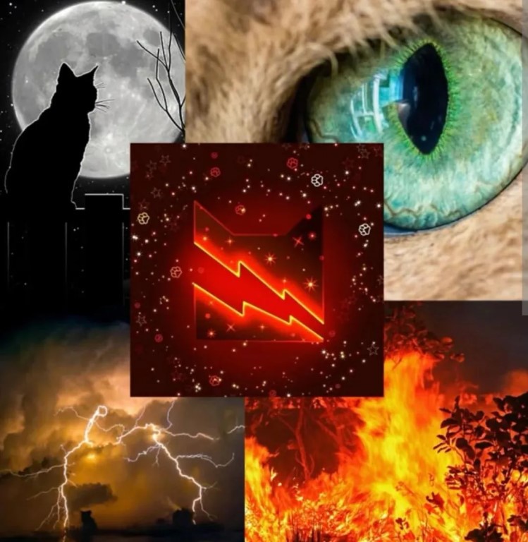 Фото