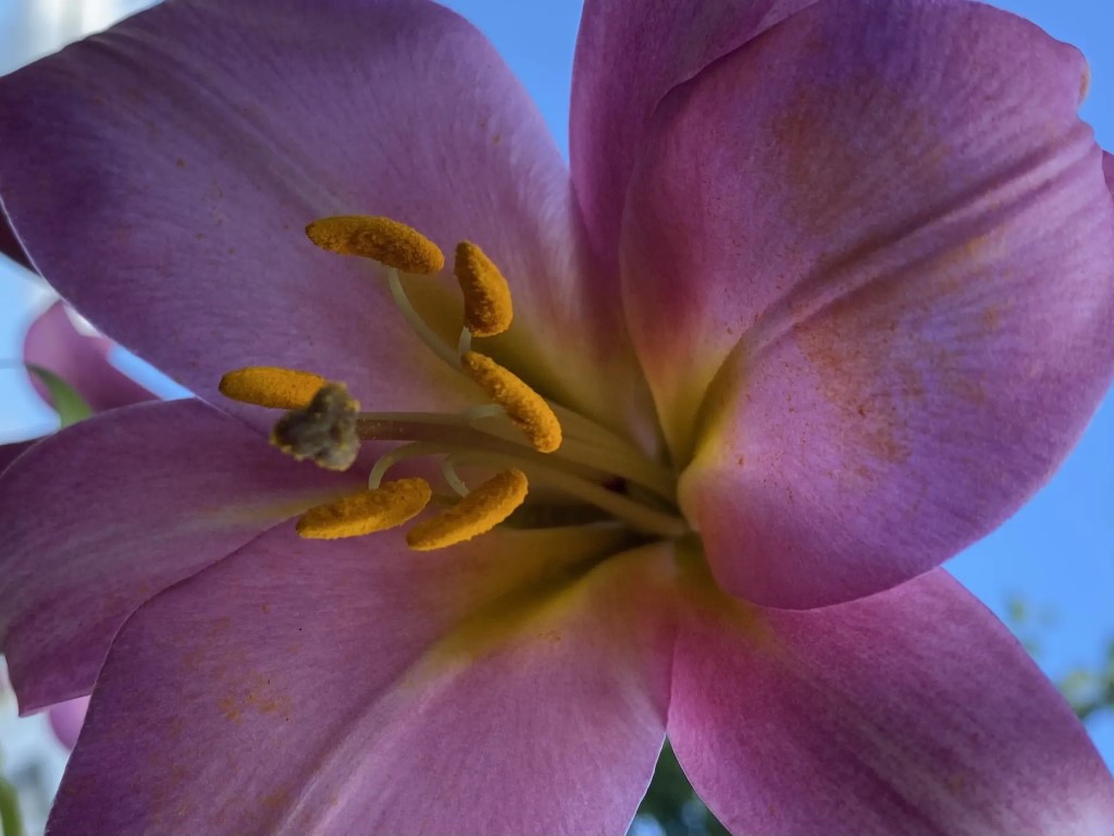 Фото