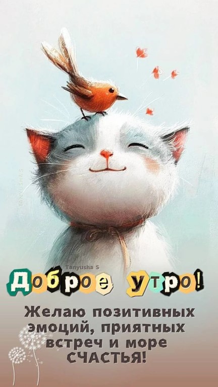 Фото