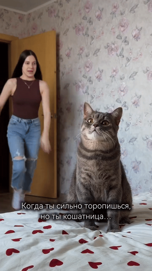 Добрый Мурзик 😻