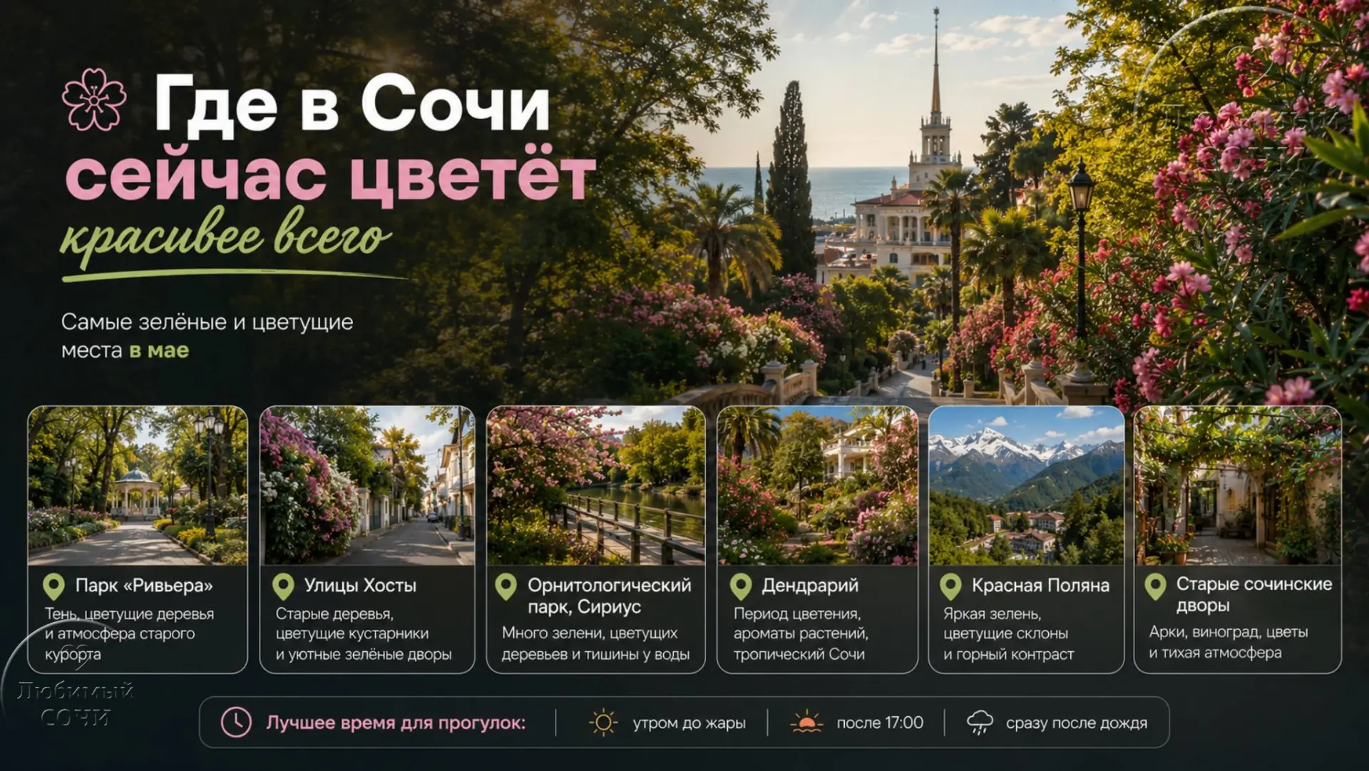 Где в Сочи сейчас цветёт красивее всего

Май — одно из самых красивых времён в Сочи. Город буквально