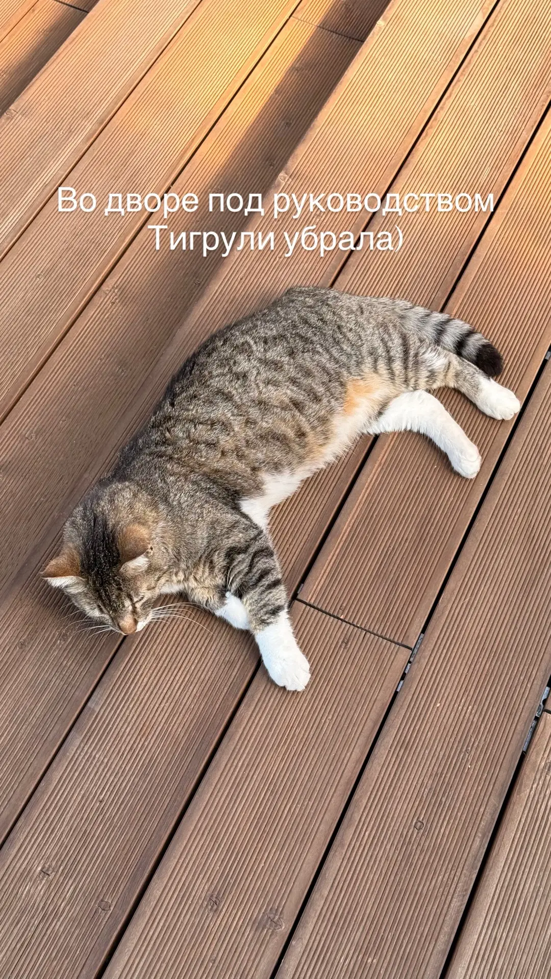 — убрала во дворе,
— убрала дома,
— сходила на тренировку 💪
— поехала в офис,
— провела рабочий Zoo