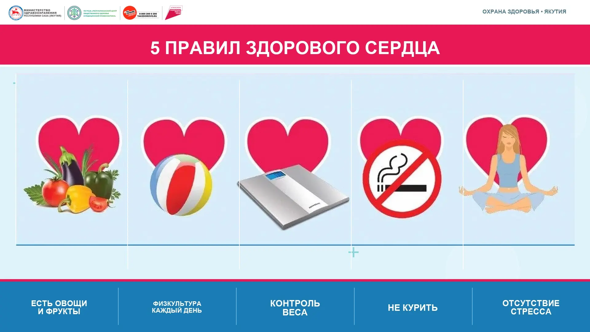 Вредные привычки — враг для сердечно-сосудистой системы