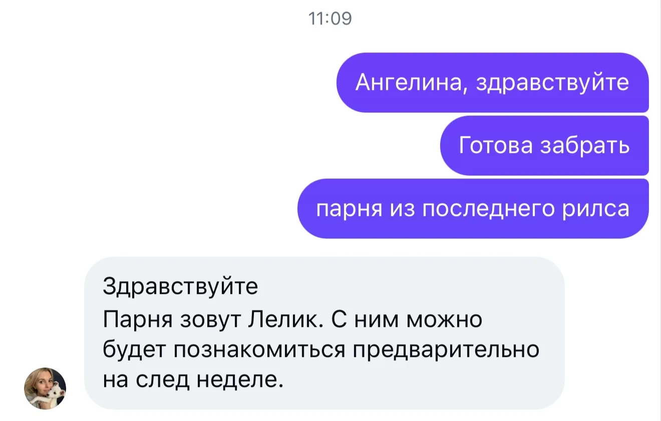 Все люди: кризис, не нужно брать на себя новых обязательств.
Мы: забрать домой собаку из приюта.