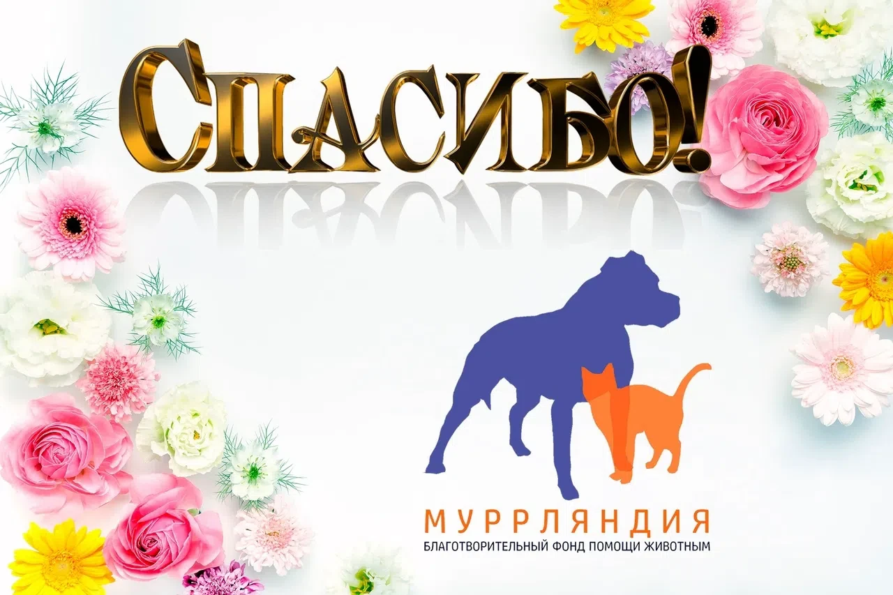 📌БЛАГОДАРНОСТИ ПОСТ📌