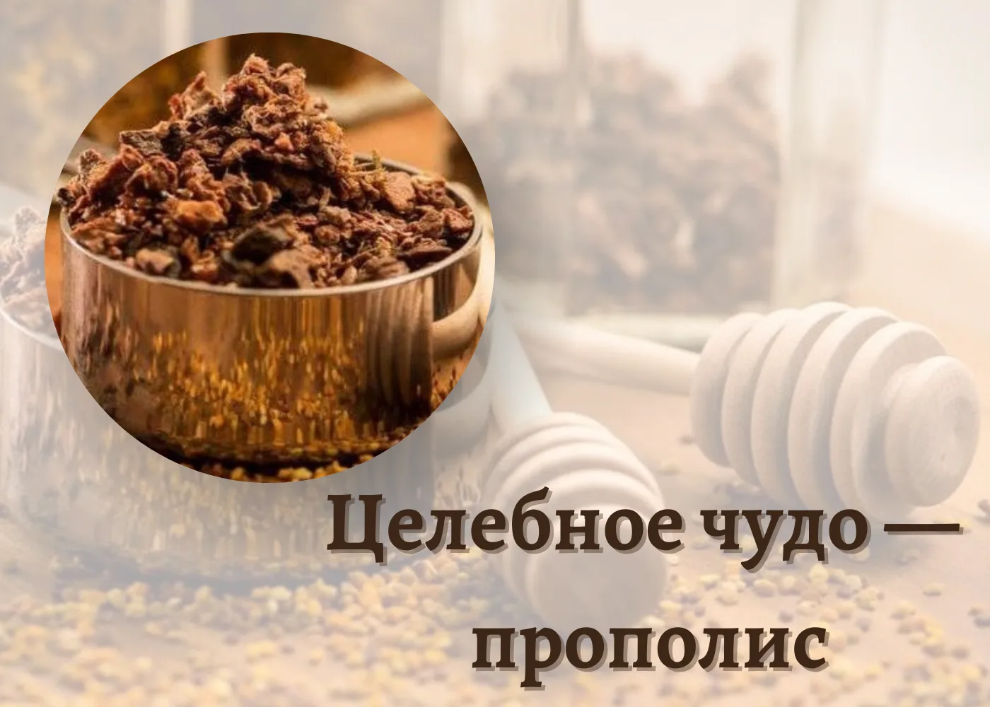 Прополис или пчелиный клей