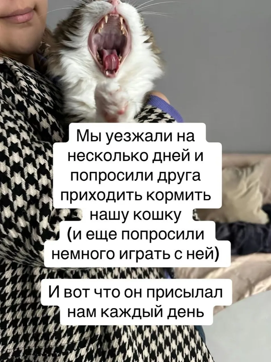 Уехали на несколько дней и попросили друга приходить кормить кошку и немного играть с ней.

Друг вос