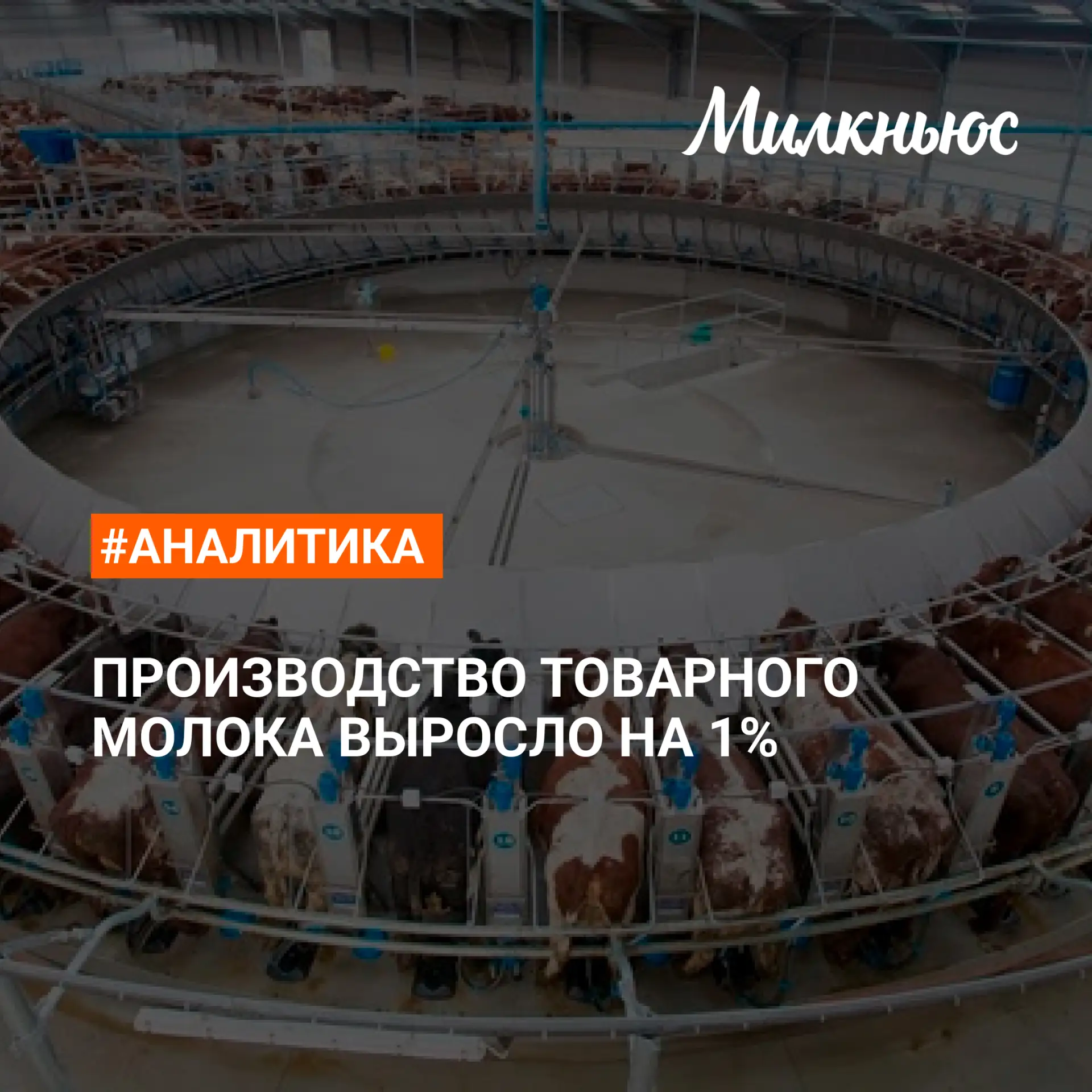 📈 Производство товарного молока выросло до 8,6 млн т в январе-апреле 2026 года к аналогичному перио