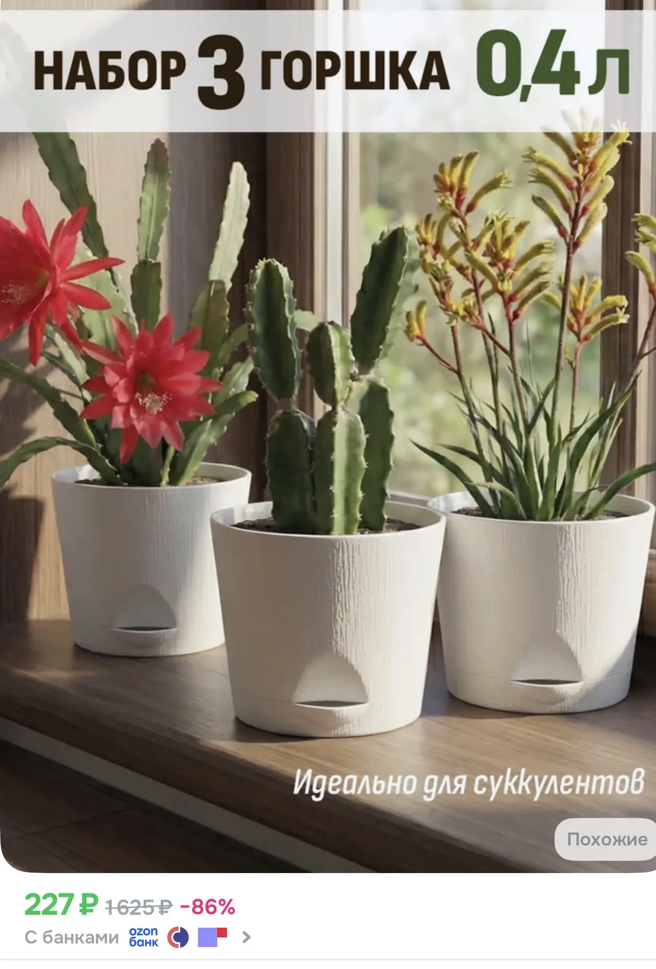 Ссылка на набор горшков 🍃🌱

Реклама. Информация о 
рекламодателях по ссылке 
https://s.ozon.ru/vsQ
