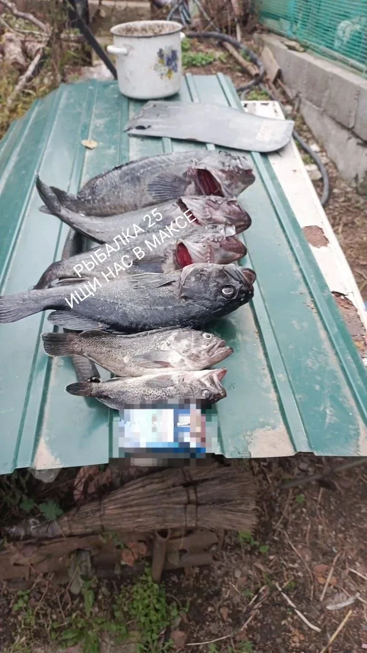 Подъяпольское
