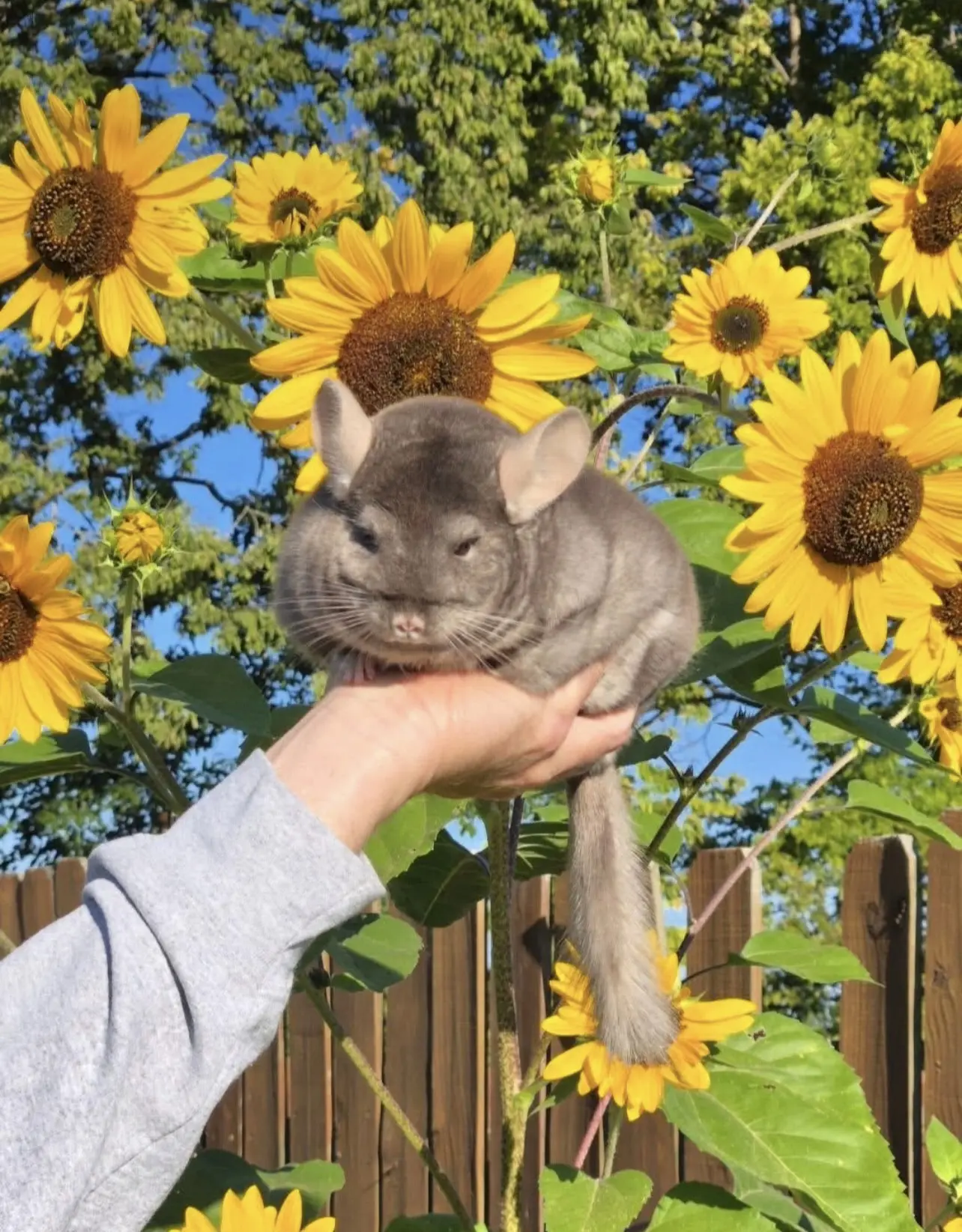 Друзья, желаем вам отличного настроения и продуктивной рабочей недели!🌻
