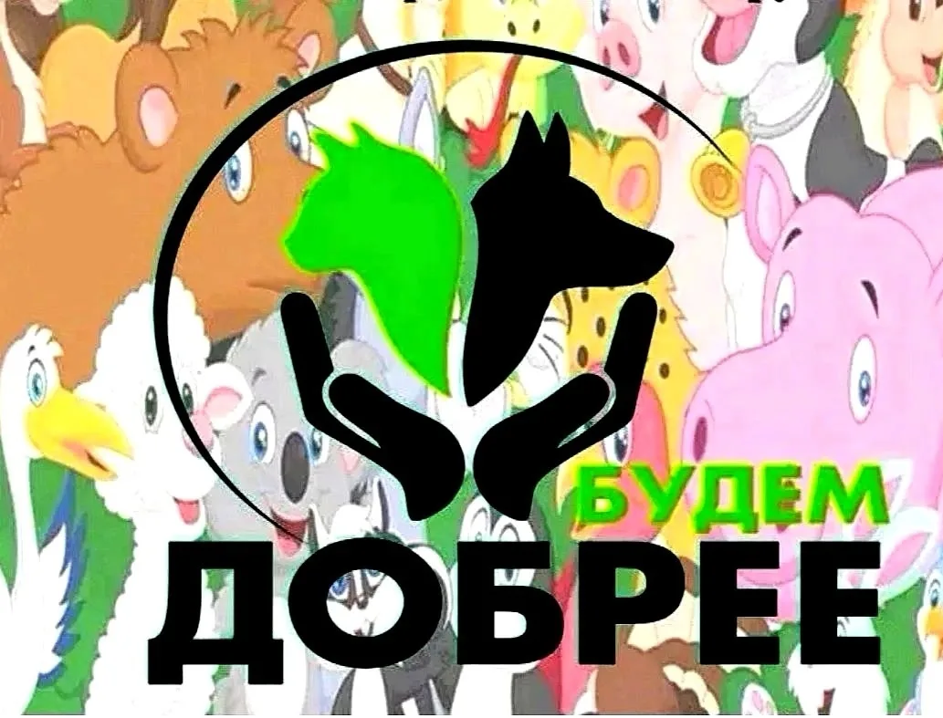 Добро к животным начинается с правильных поступков.