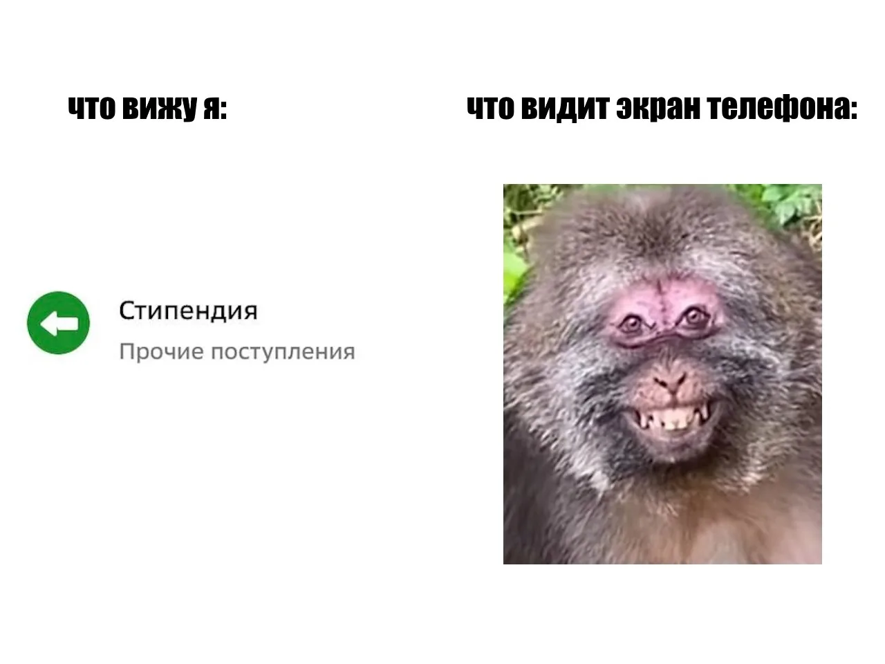 Стипендия в июне😎

ВУЗ:
 "5" – 8760 руб.
 "5" и "4". – 5760 руб.
 "4" - 4260 руб.

Политехнический 