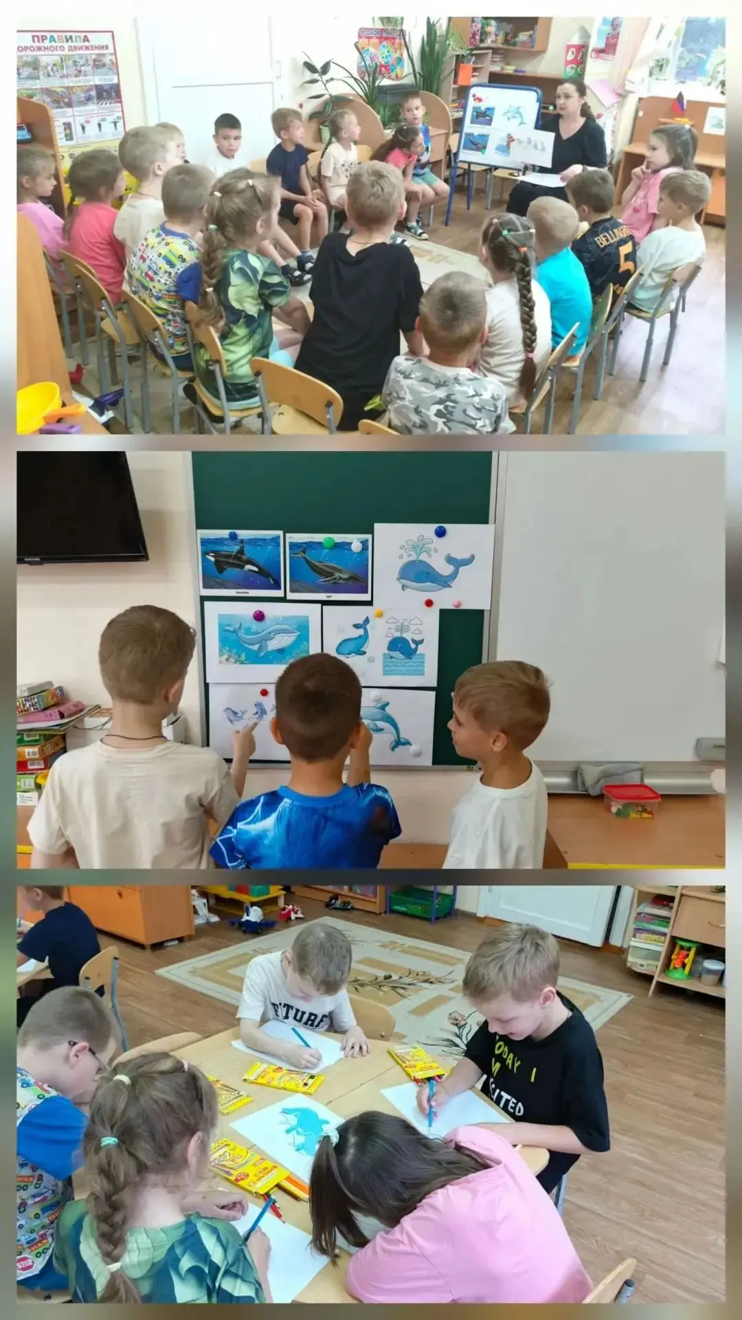 🐳🐬 23 Июля – День Китов и Дельфинов! 🐬🐳23 июля, весь мир отмечает особенный праздник – День кито