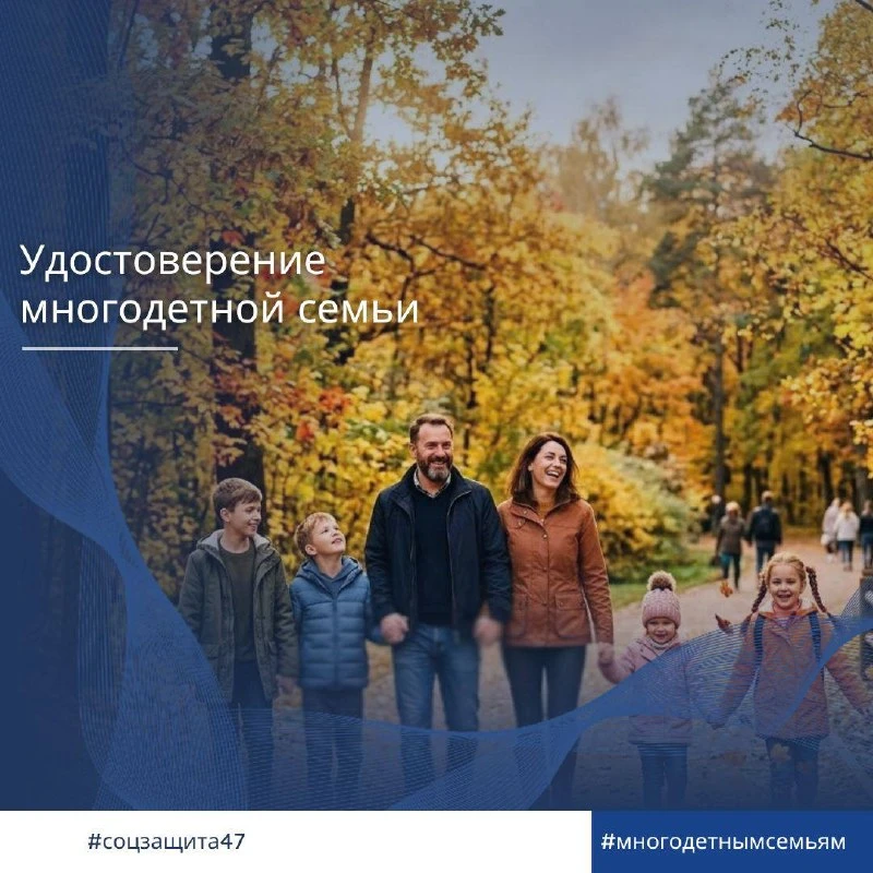 Статус многодетной семьи в Ленобласти теперь можно подтвердить электронным удостоверением.