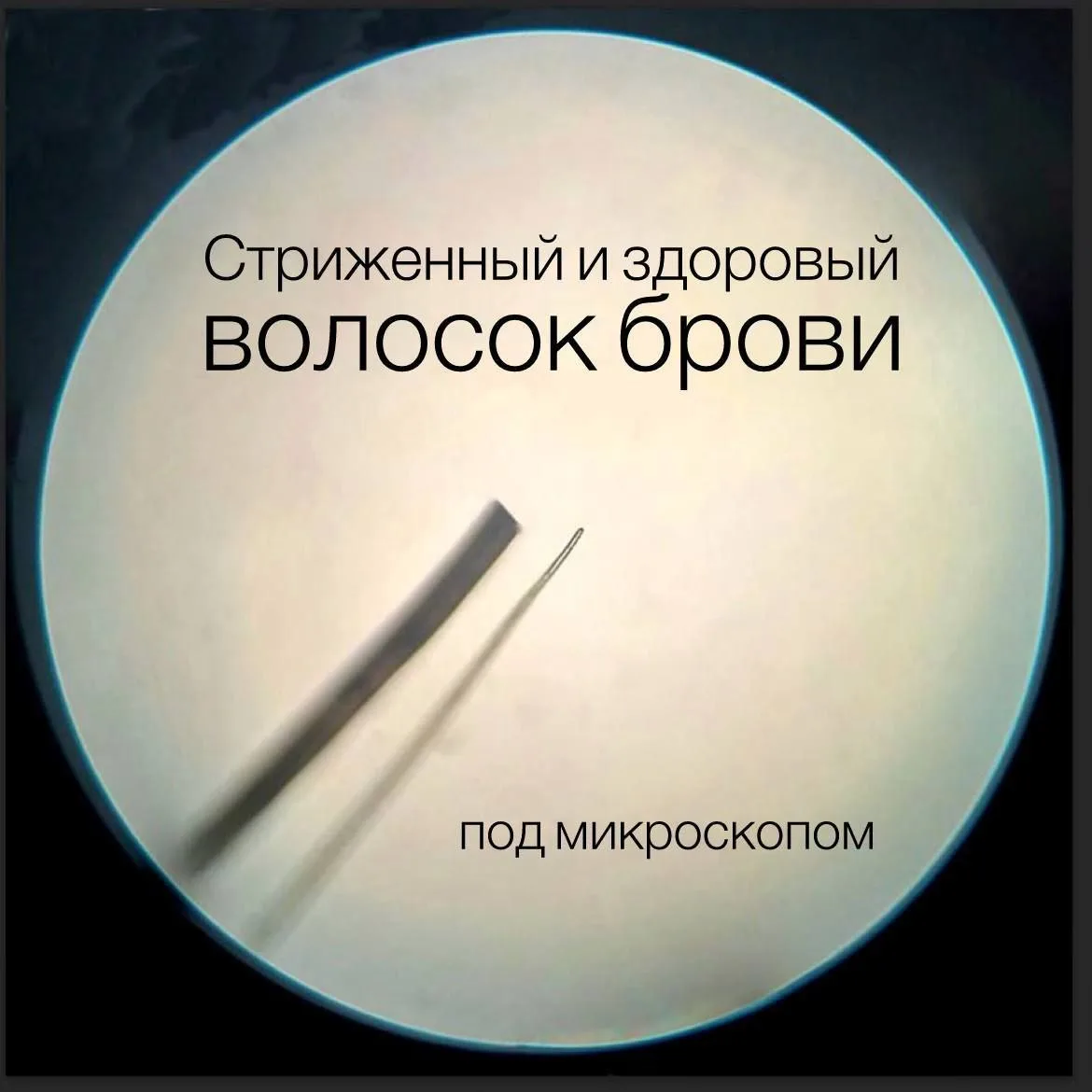 Ножницы — для бумаги.