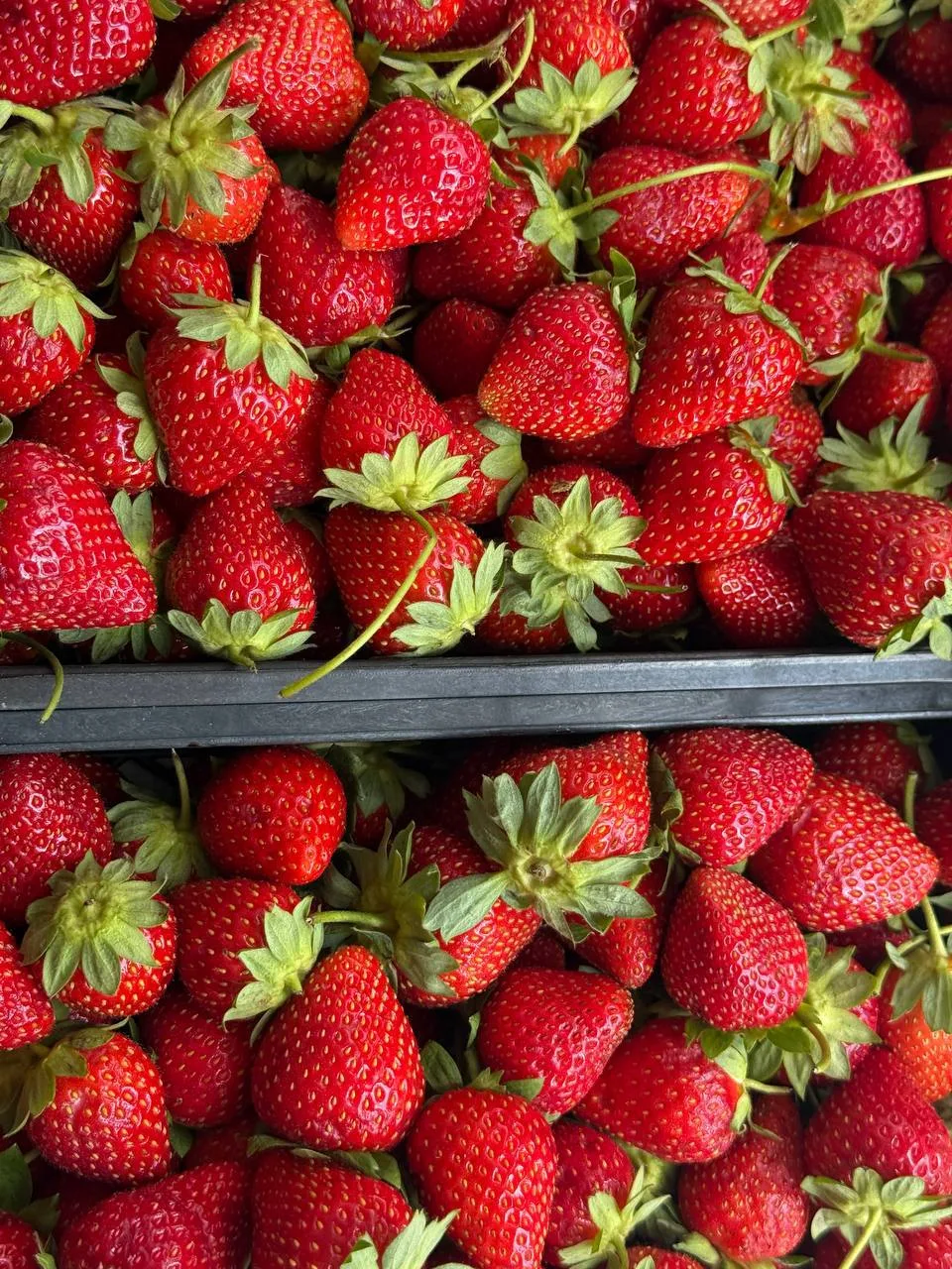 Свежая поставка клубники! 🍓