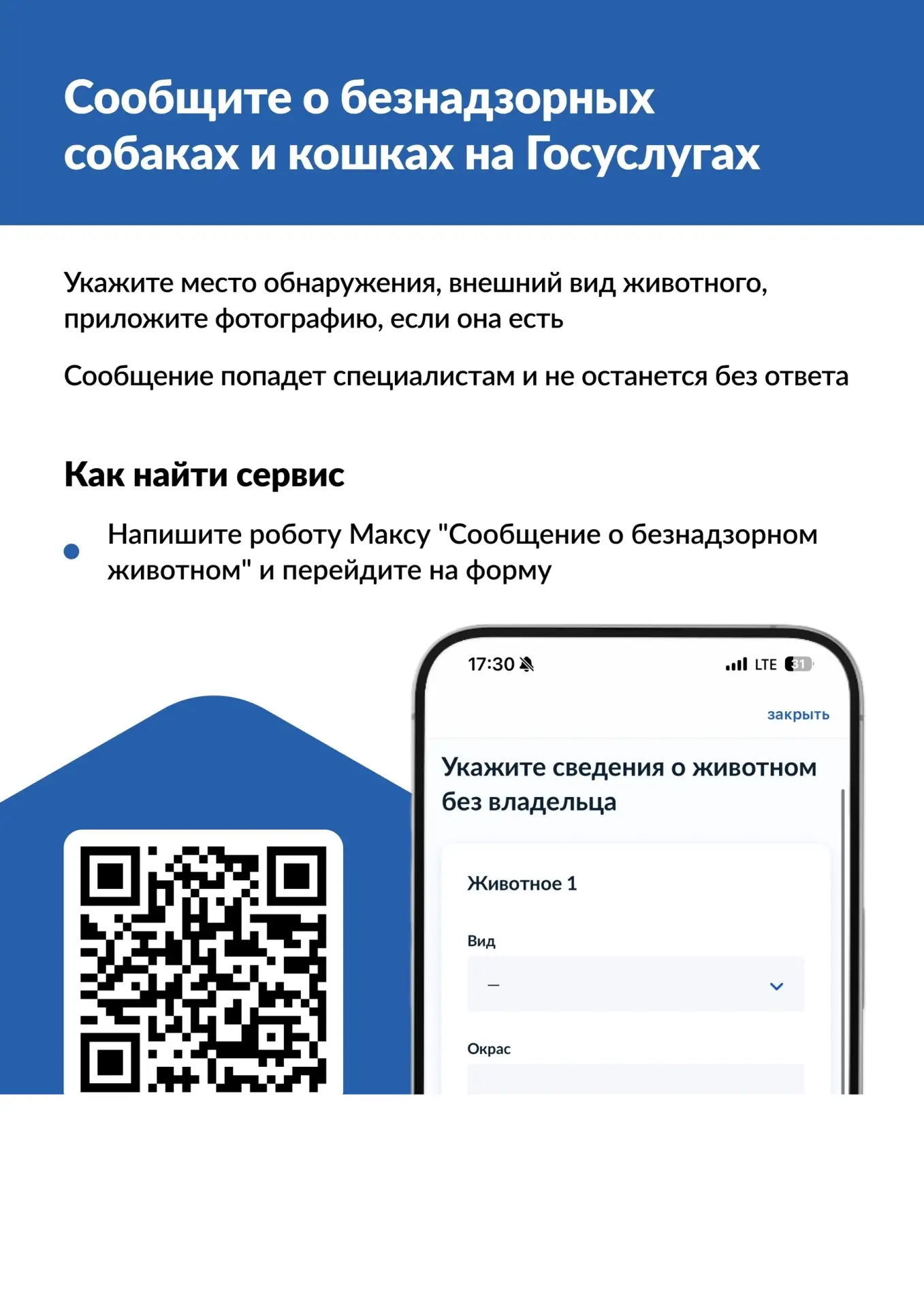 🐕 Увидели бездомное животное? Теперь о нем можно сообщить на Госуслугах за 2 минуты