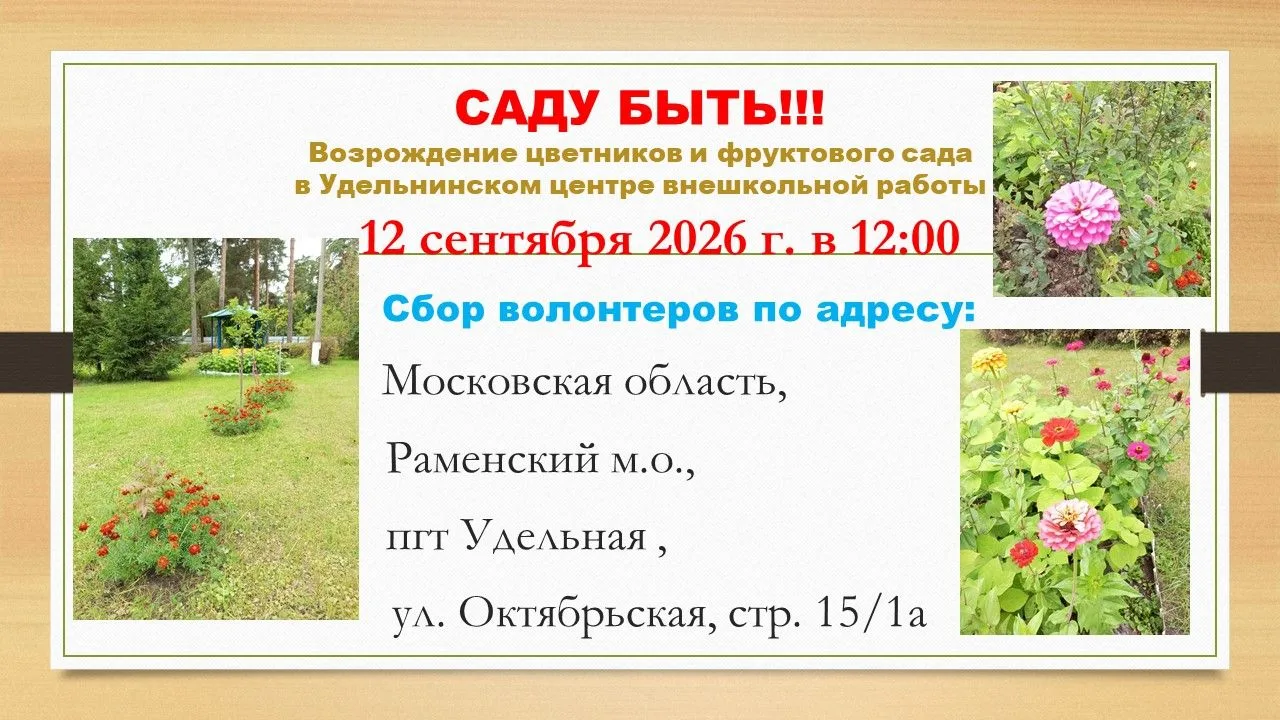 🙏Волонтёрство учит эмпатии, ответственности и