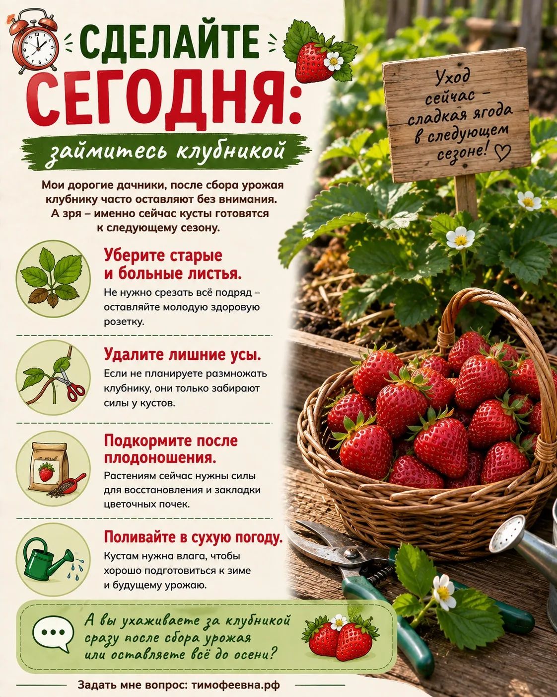 ⏰ Сделайте сегодня: займитесь клубникой