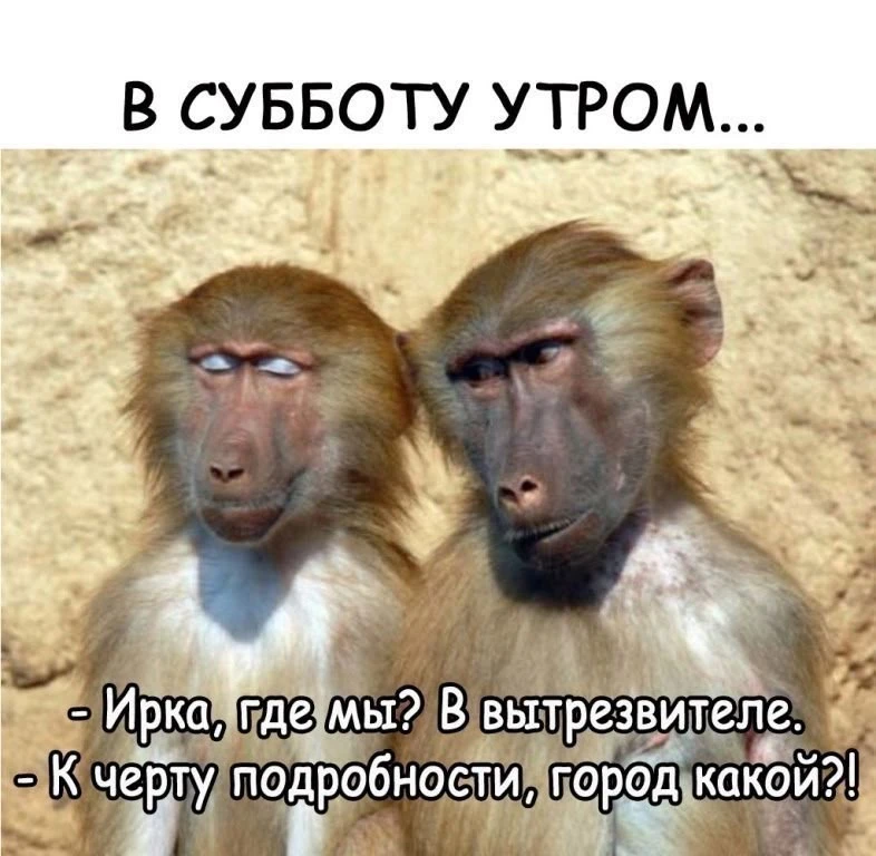 Юмор | Приколы | Мемы 👇🏻