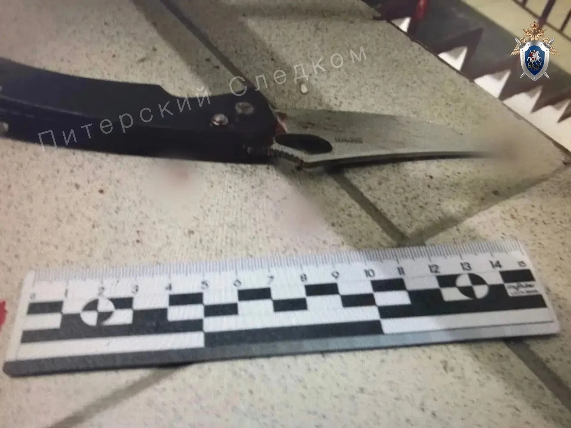 В Петербурге мужчина напал с ножом на двух женщин, а затем выпал из окна. Потерпевших г...