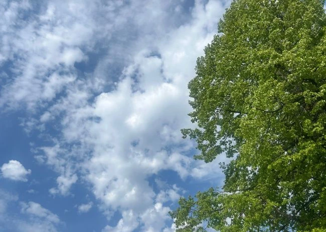 На выходных в Прикамье потеплеет до +28°C