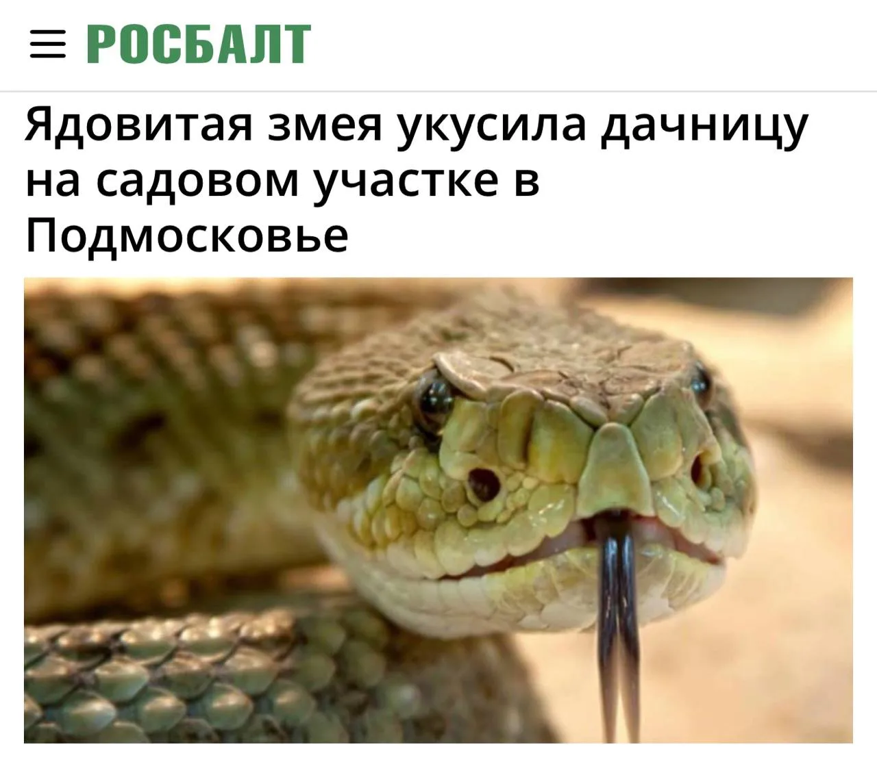«Ядовитая змея укусила дачницу на садовом участке в Подмосковье»: Гадюка укусила женщину на даче – е