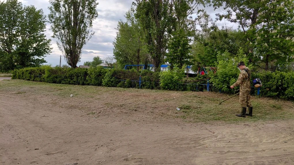 ✅️На прошедших выходных,  постоянный волонтёр Таловского ДК, Ковалёв Иван, обкосил терр...