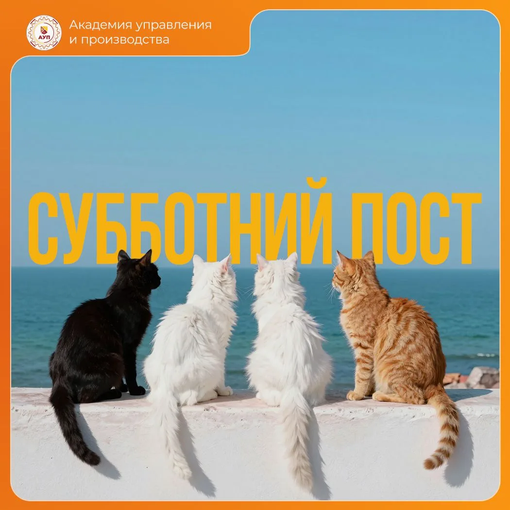 Последняя суббота августа 😎