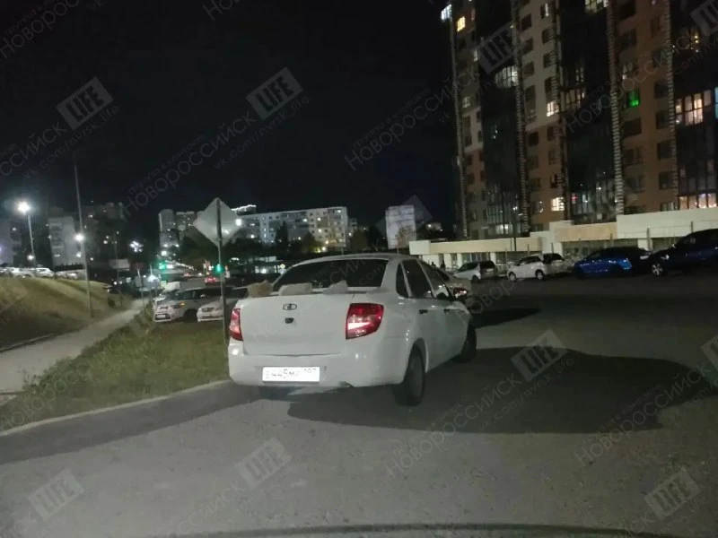🚗 На улице Владимира Бута в багажник автомобиля положили три булыжника