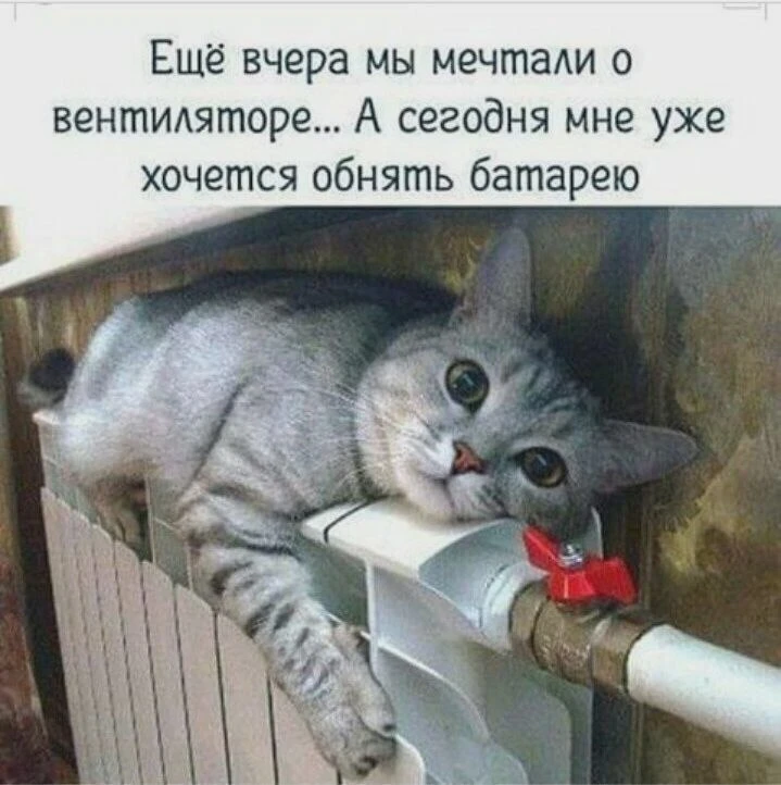 🌡️ Запуск отопления в Подмосковье длится до недели