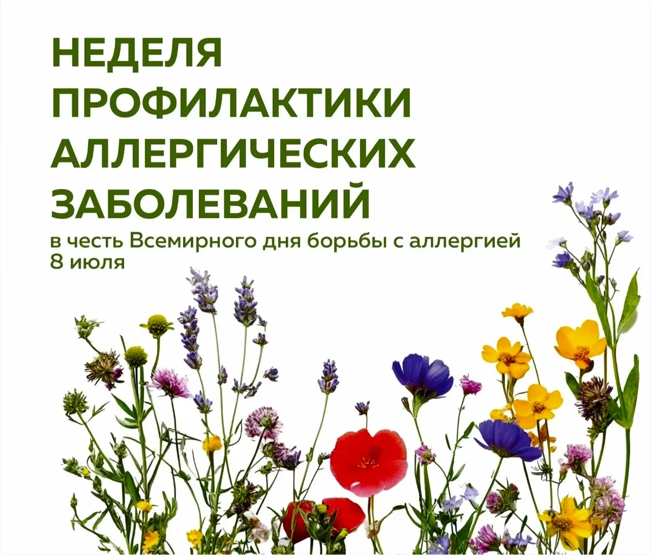 Во Всемирный день борьбы с аллергией рассказываем, как упростить жизнь с поллинозом, как помочь себе